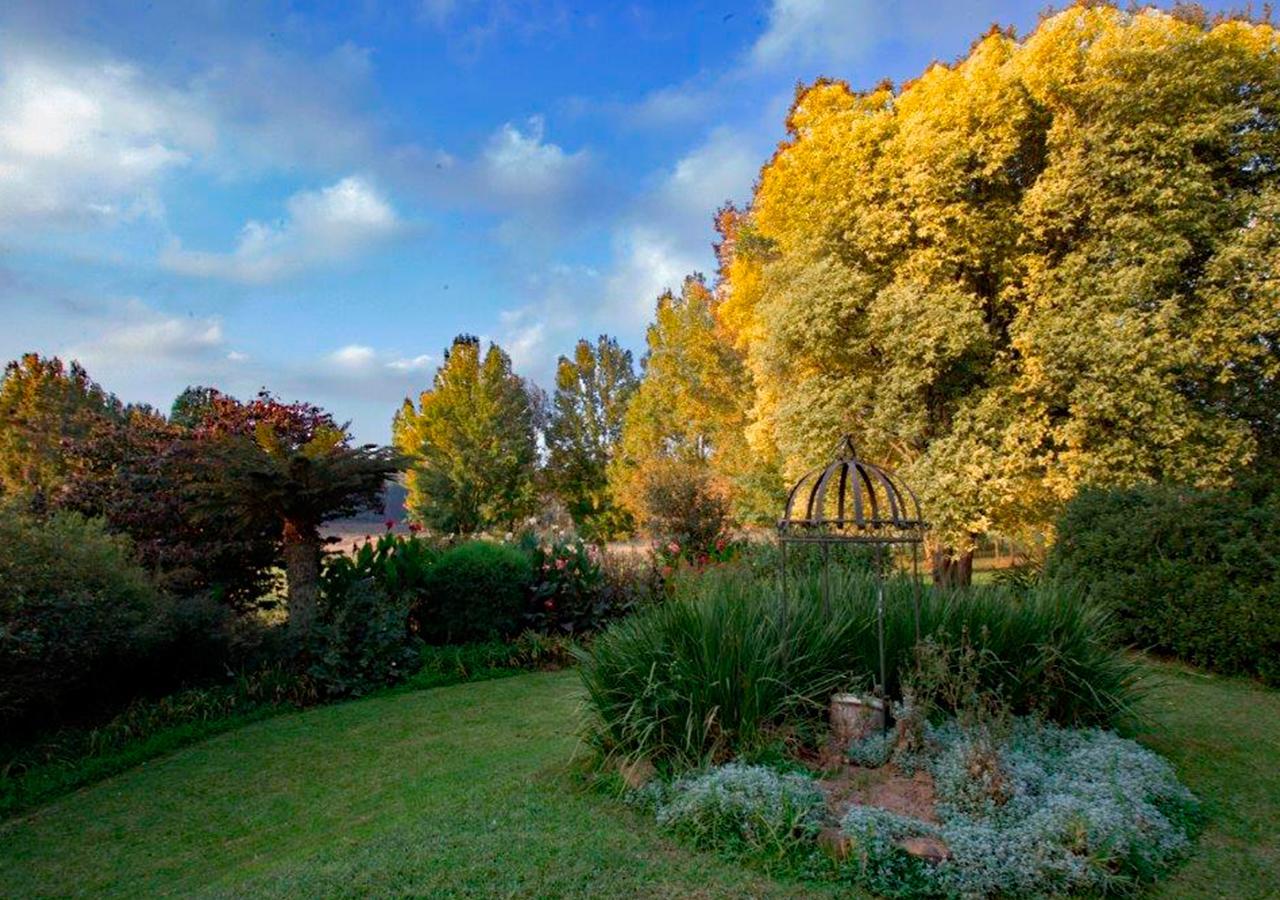 Amber Avenue Guesthouse Howick Dış mekan fotoğraf