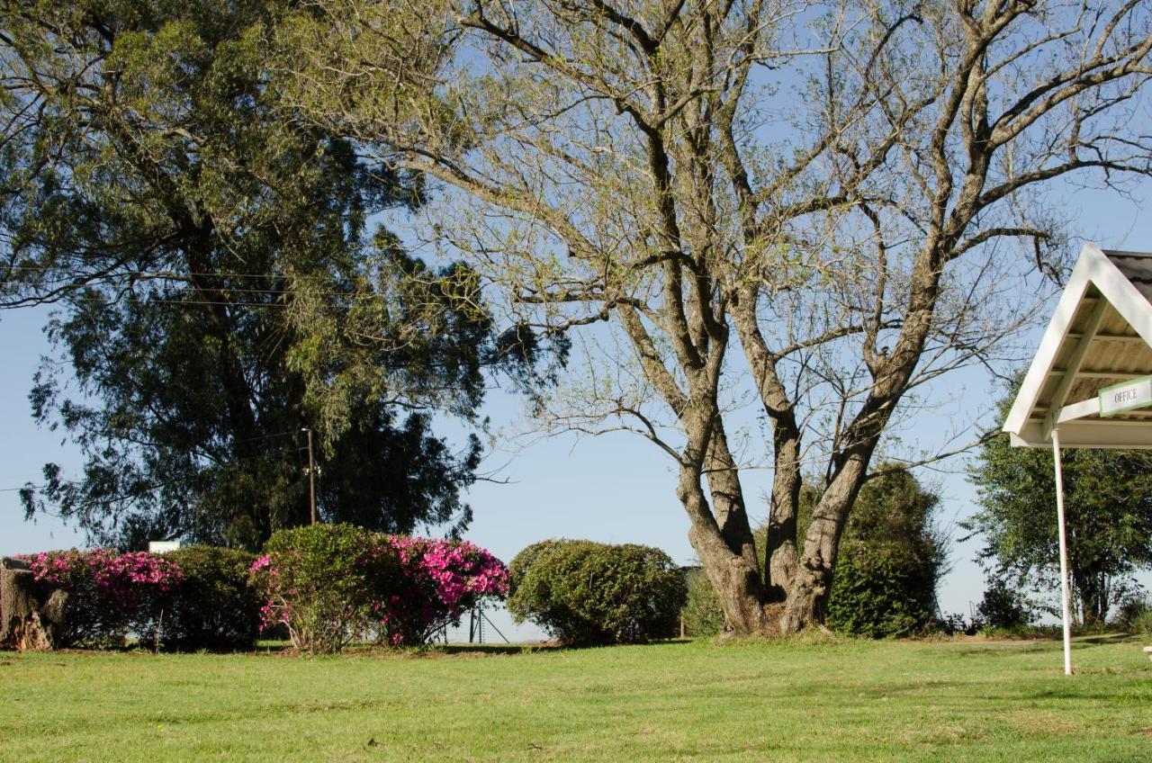 Amber Avenue Guesthouse Howick Dış mekan fotoğraf